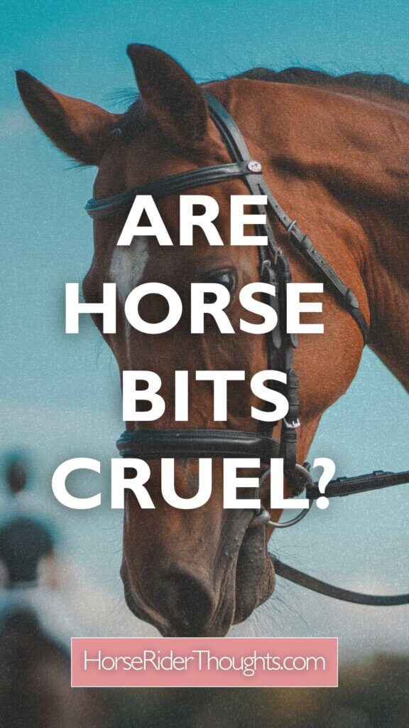 Are Horse Bits Cruel