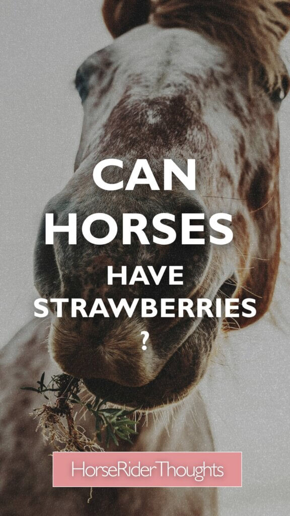 Can Horses Have Strawberries?