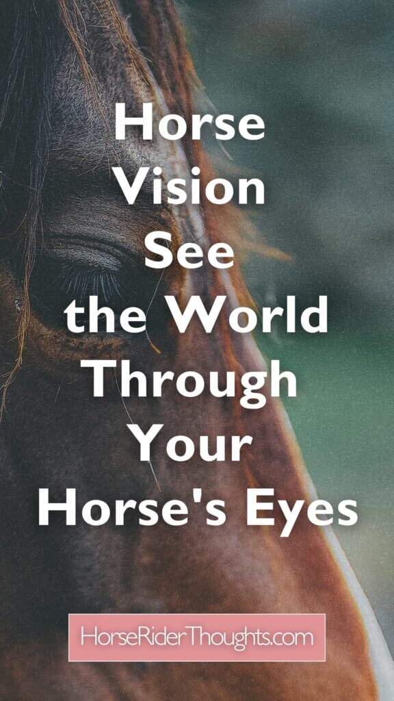horse vision