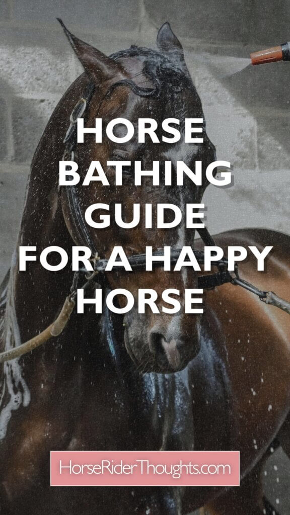 horse bathing