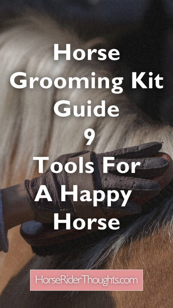 horse grooming kit