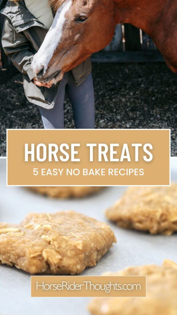 no bake horse treats