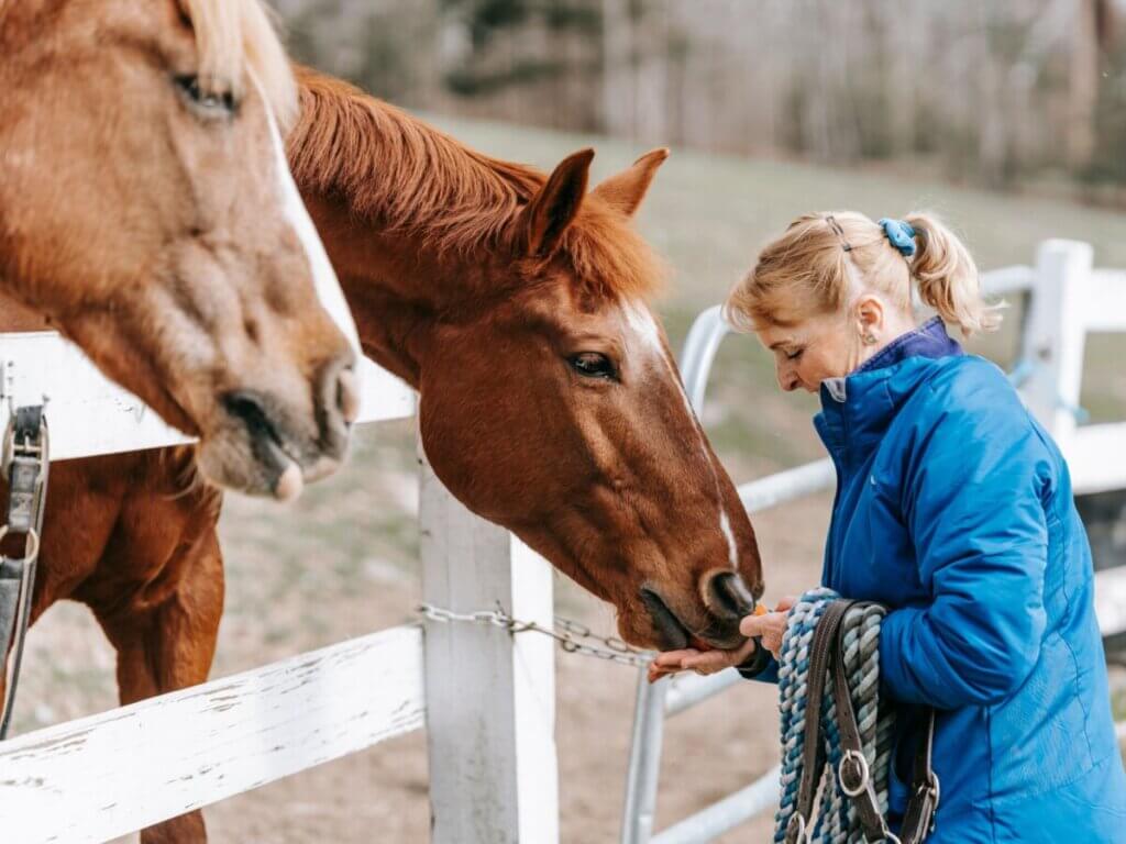 peppermint treats for horses