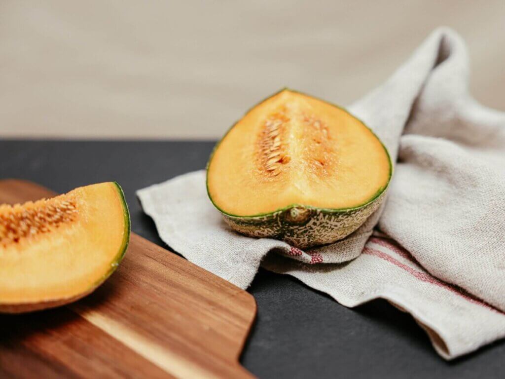can horses eat cantaloupe