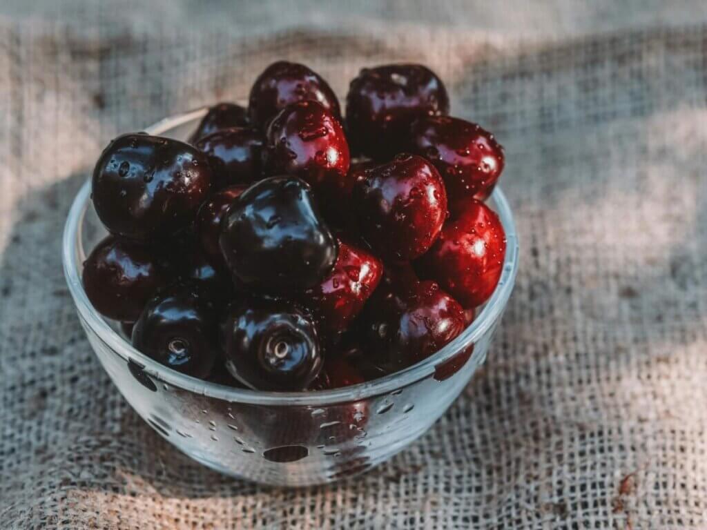 can horses eat cherries