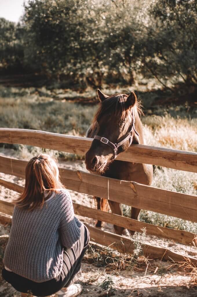equestrian summer
