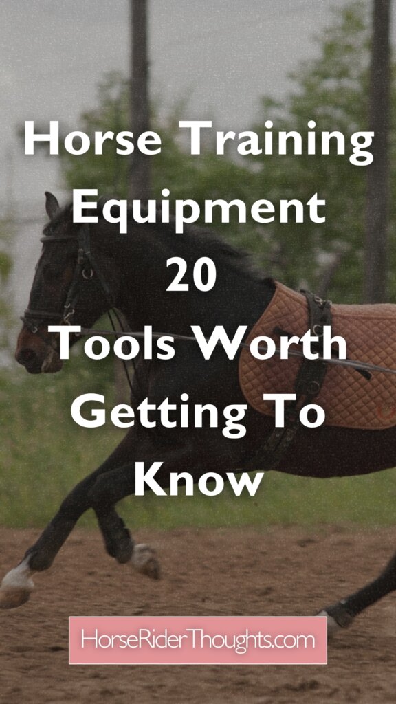 Horse Training Equipment