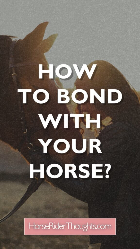 how to bond with your horse