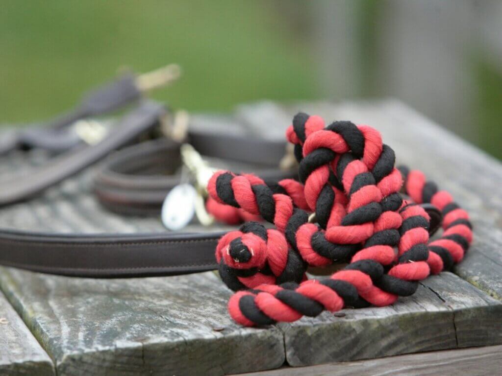 How to Find the Best Horse Lead Rope for You & Use It Right