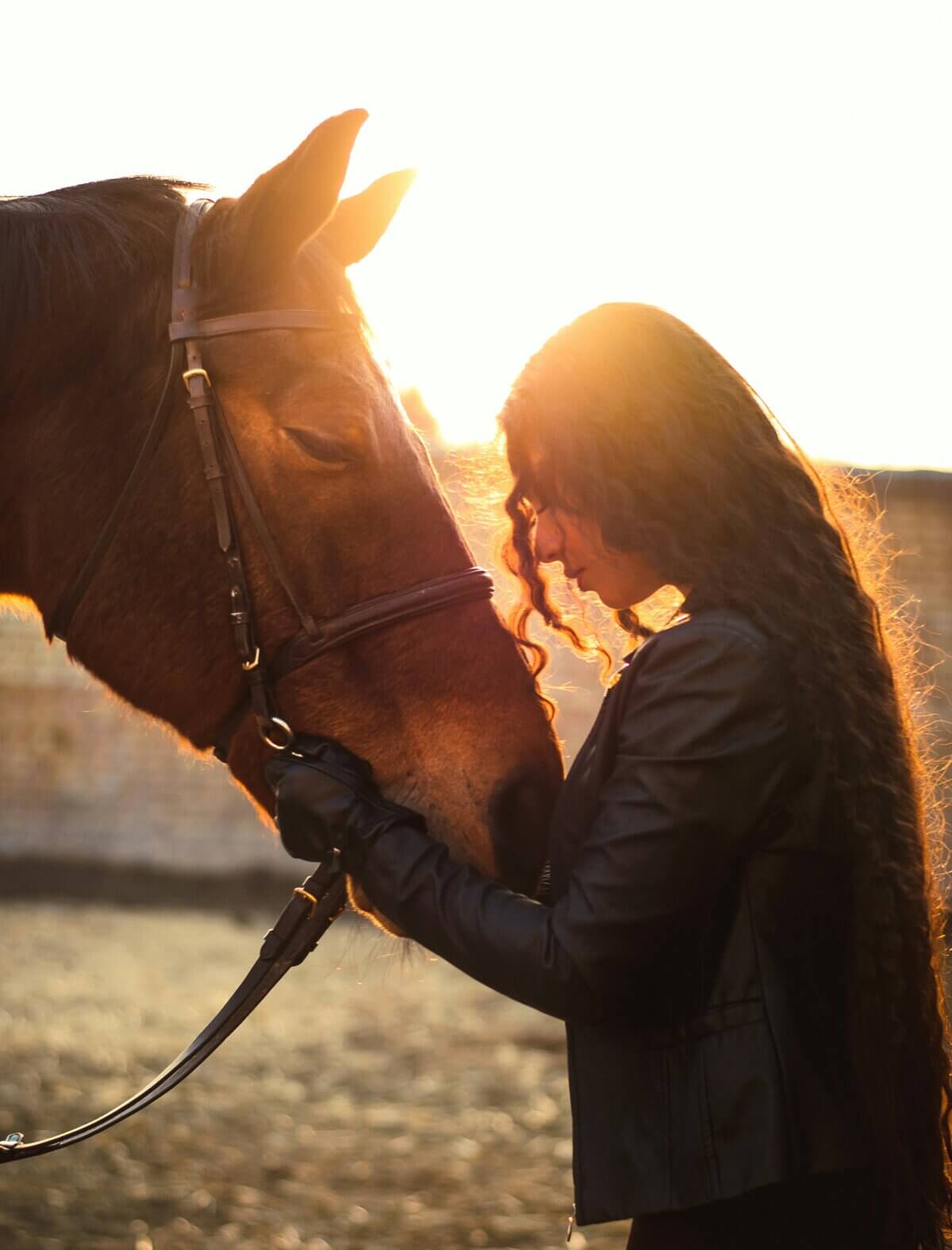how to bond with your horse