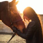 how to bond with your horse