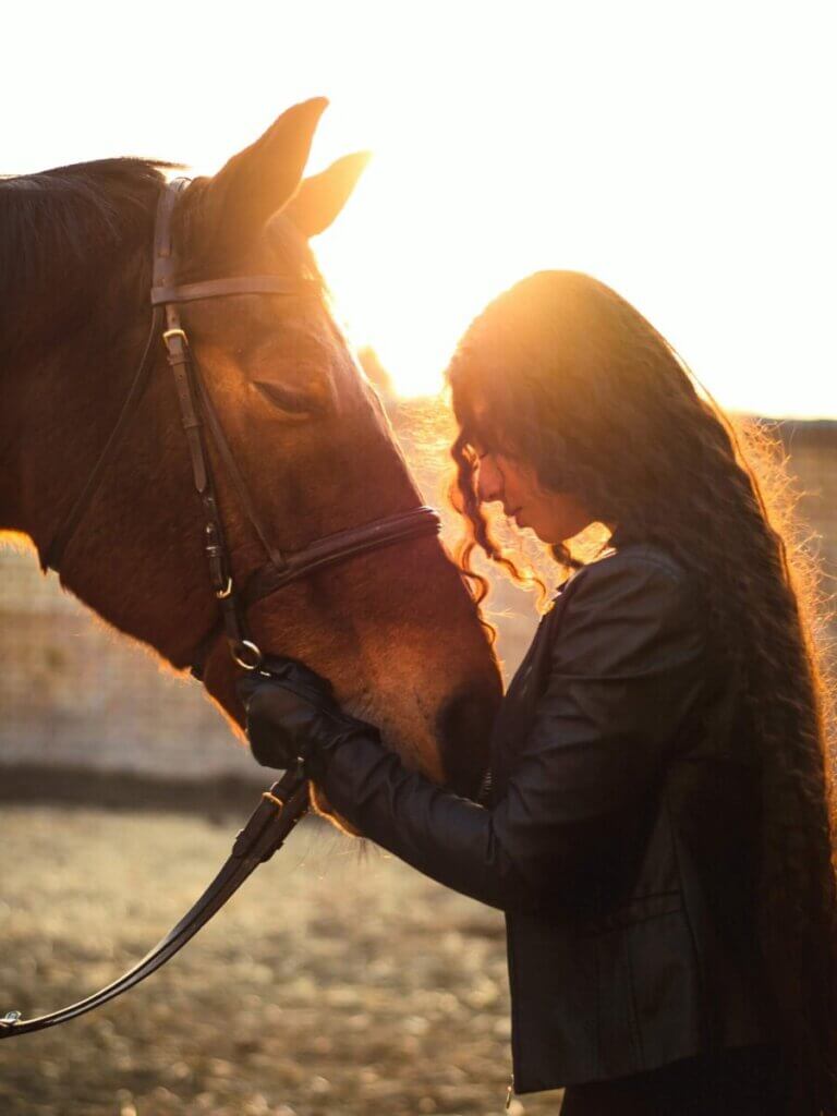 How to Bond With Your Horse? 6 Ways To Build Trust