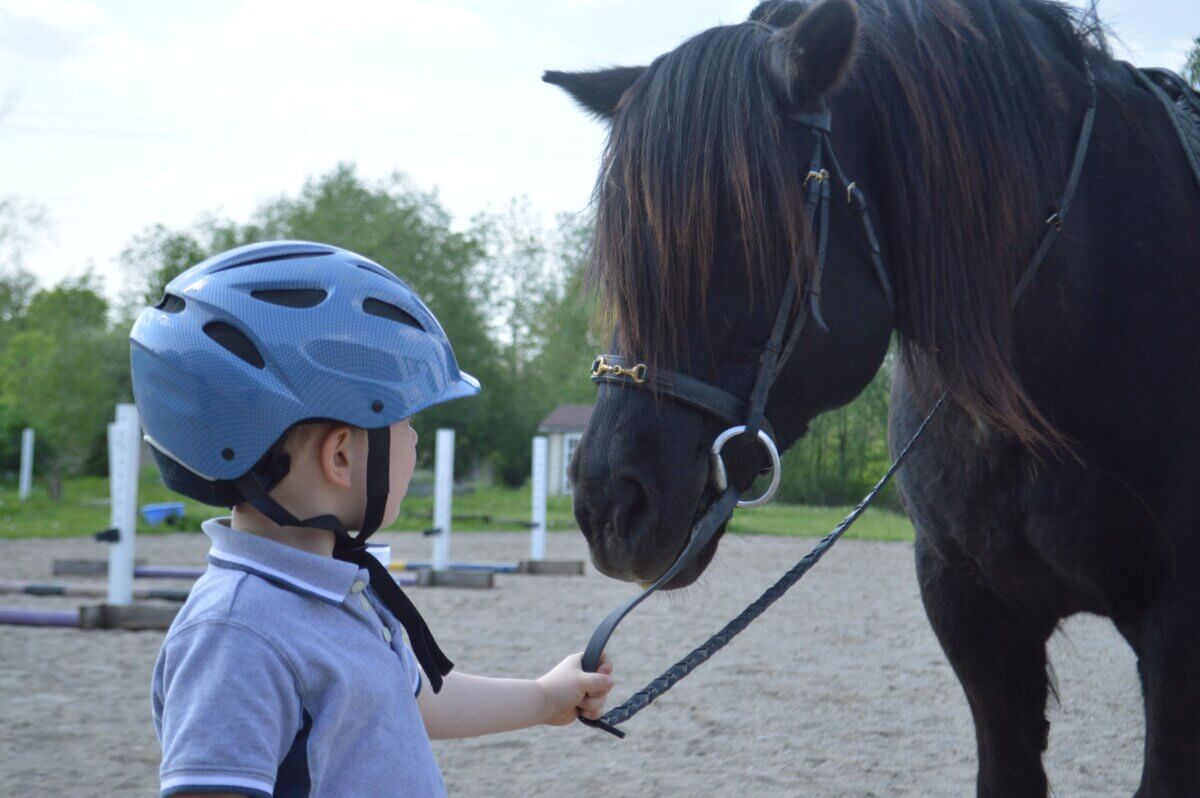 horse camp activities