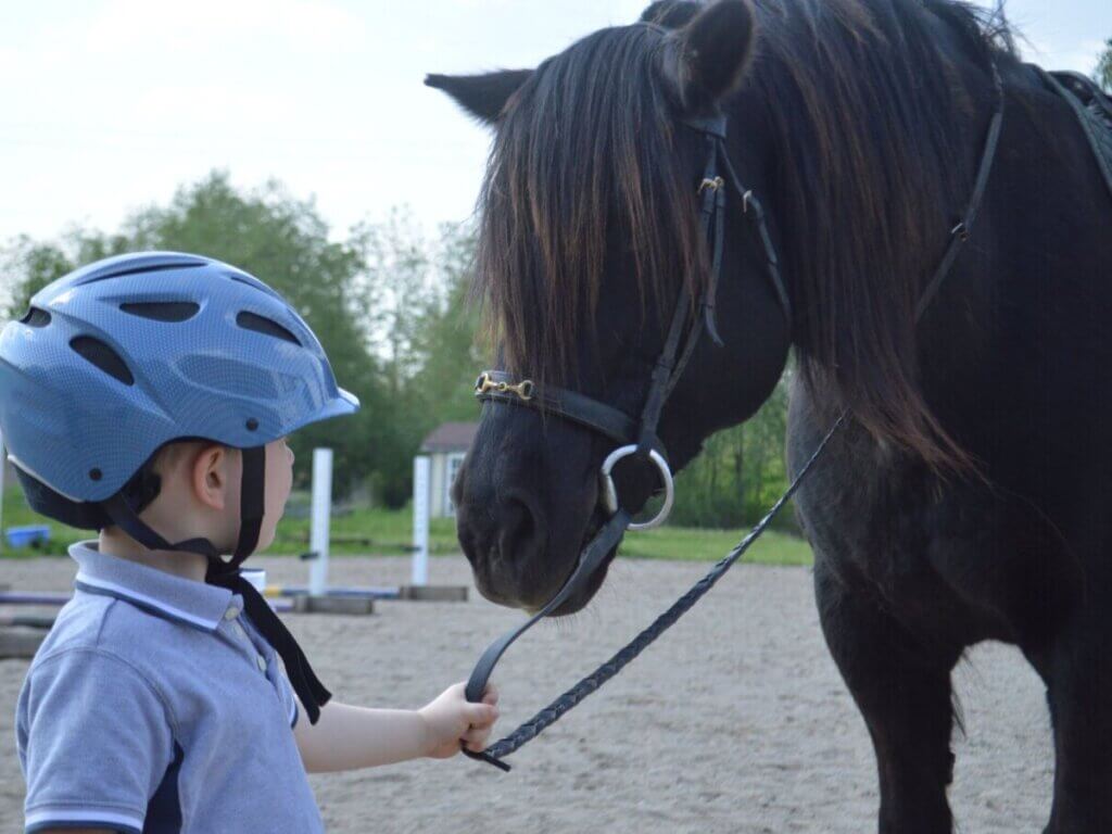 19 Horse Camp Activities For An Unforgettable Week