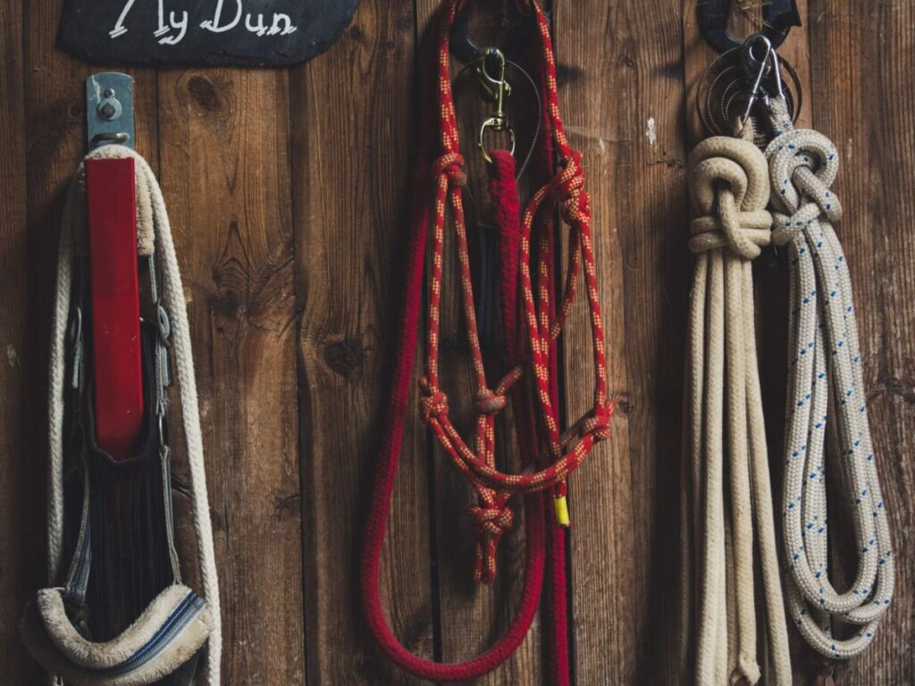 horse training equipment