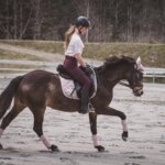 canter aids