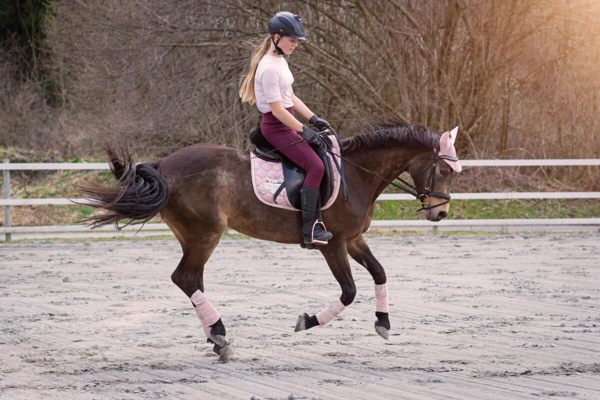 Why do horses buck when asked to canter