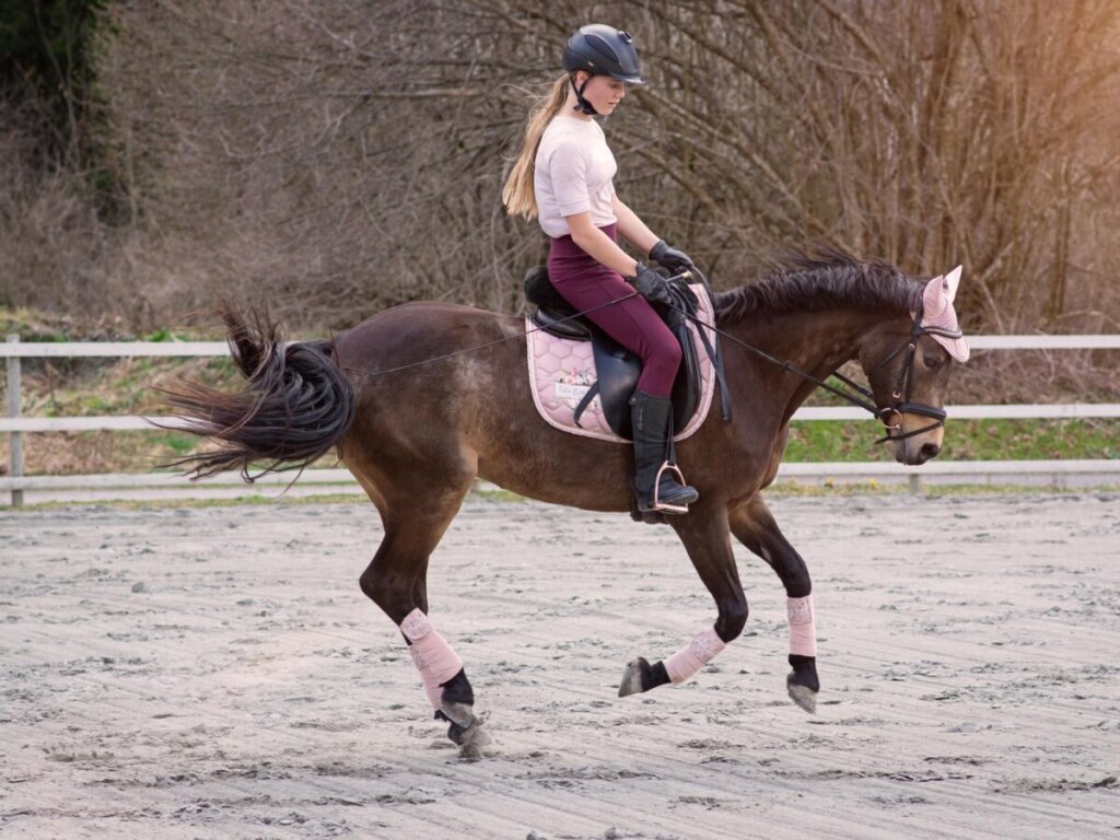Why Do Horses Buck When Asked to Canter? Listen Before You Blame