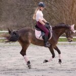 Why do horses buck when asked to canter