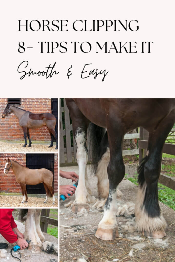 horses clipping