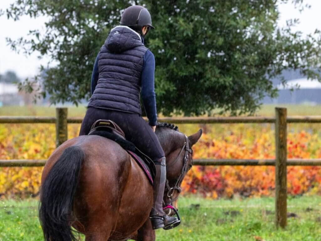 horse riding jackets