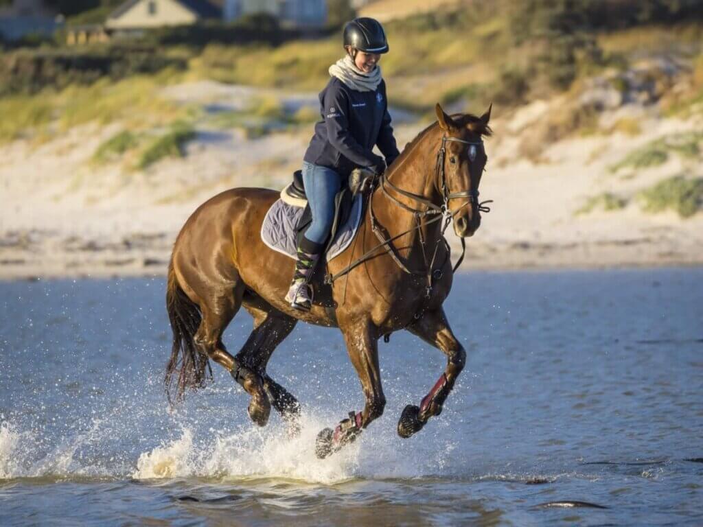 Which Horse Riding Jackets Do You Need Before Mud Season?