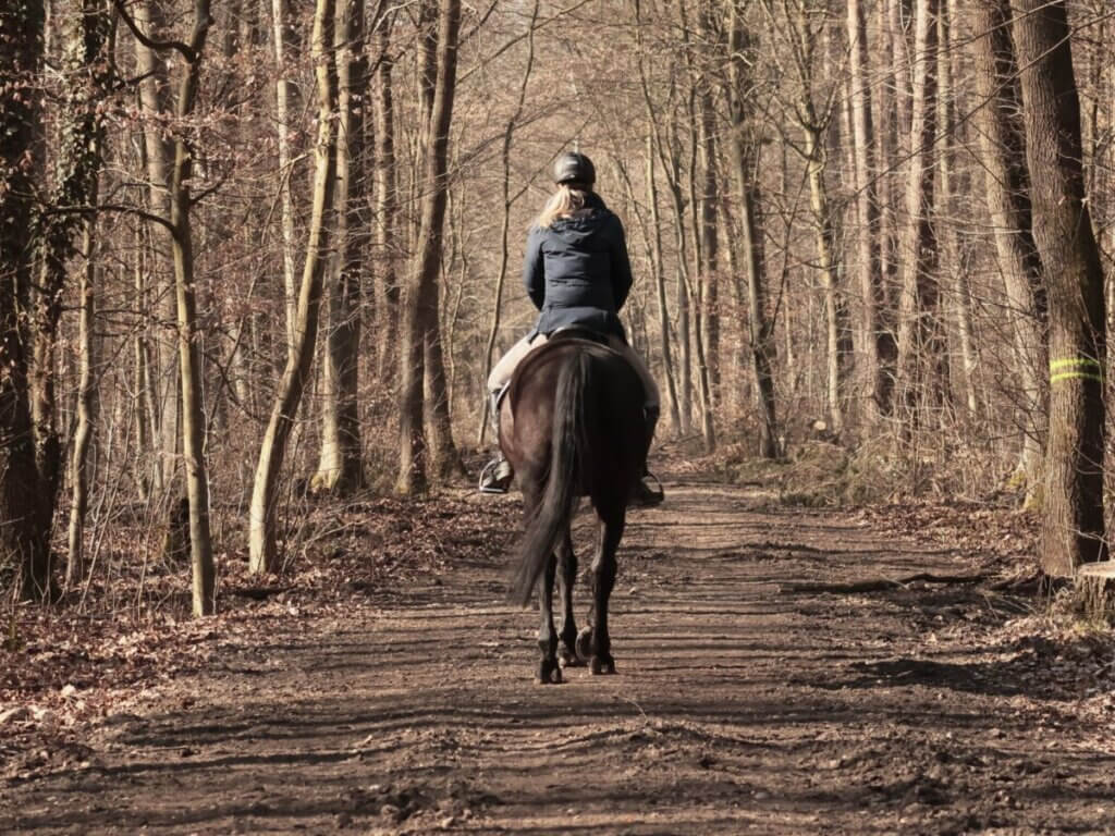 horse riding jackets
