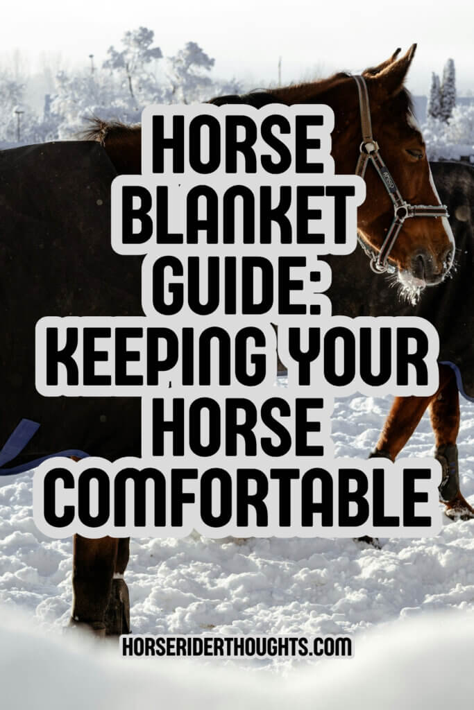 horse blanket